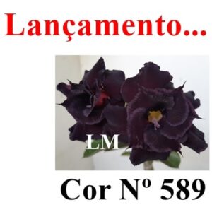 ENXERTO 7659 – 22cm (cor LM 589)