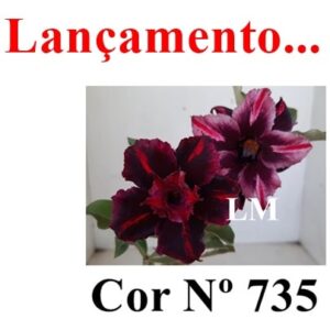 ENXERTO 7634 – 20cm (cor LM 735)