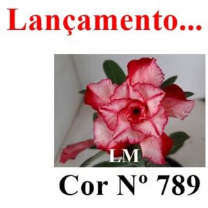 ENXERTO 7591 – 22cm (cor LM 789)