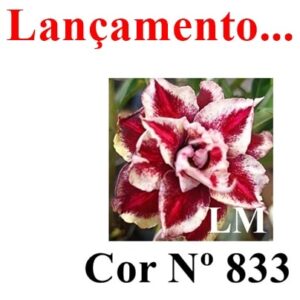 ENXERTO 7643 – 20cm (cor LM 833)