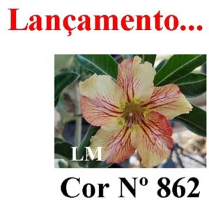 ENXERTO 7661 – 20cm (cor LM 862)