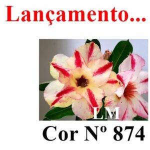 ENXERTO 7791 – 22cm (cor LM 874)