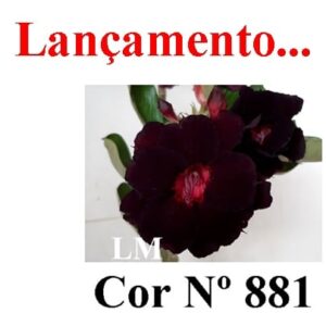 ENXERTO 7724 – 20cm (cor LM 881)