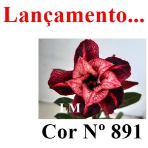 ENXERTO 7812 – 20cm (cor LM 891)