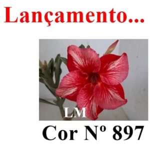 ENXERTO 7790 – 20cm (cor LM 897)
