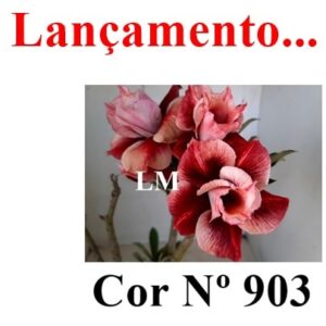 ENXERTO 7761 – 20cm (cor LM 903)