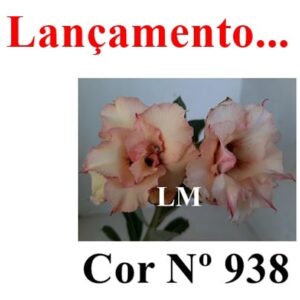 ENXERTO 7642 – 22cm (cor LM 938)