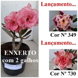 ENXERTO 7644 – 20cm (cor LM 349 e LM 730)