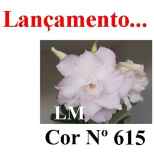 ENXERTO 7892 – 22cm (cor LM 615)