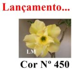 ENXERTO COR LM 450