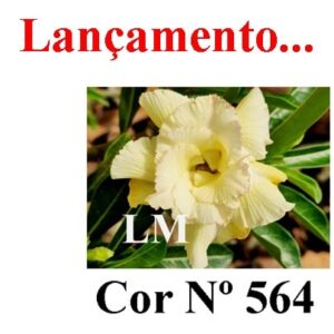 ENXERTO 8042 – 20cm (cor LM 564)