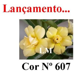 ENXERTO 8059 – 20cm (cor LM 607)