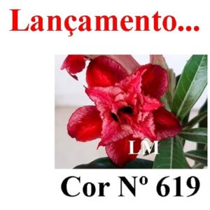 ENXERTO 8020 – 20cm (cor LM 619)
