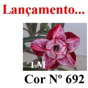 ENXERTO 7910 – 20cm (Cor LM 692)