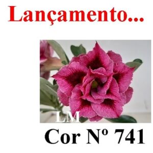 ENXERTO 8009 – 20cm (cor LM 741)
