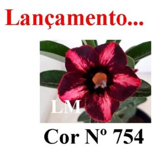 ENXERTO 7838 – 20cm (cor LM 754)