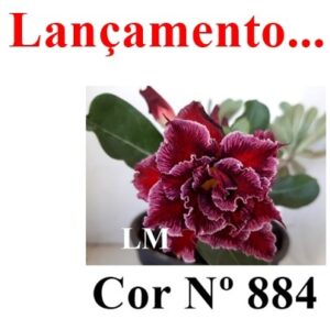 ENXERTO 7920 – 20cm (Cor LM 884)