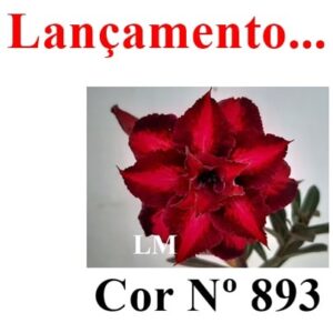 ENXERTO 8044 – 20cm (cor LM 893)