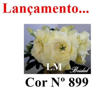 ENXERTO 7862 – 20cm (cor LM 899) - BRIDAL