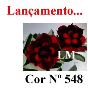 ENXERTO 8127 – 20cm (cor LM 548)