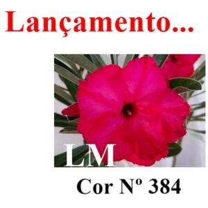 ENXERTO 8215 – 20cm (cor LM 384)
