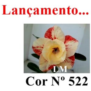 ENXERTO 8123 – 20cm (cor LM 522)