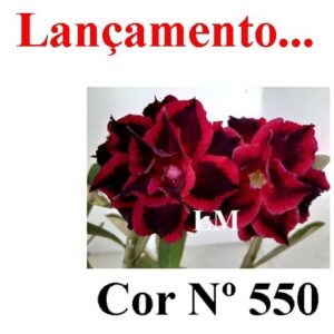 ENXERTO 8250 – 20cm (cor LM 550)