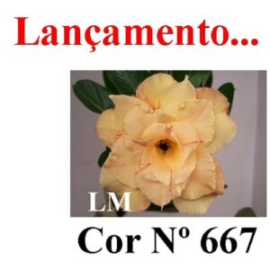 ENXERTO 8131 – 20cm (cor LM 667)