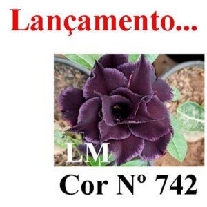 ENXERTO 8246 – 20cm (cor LM 742)