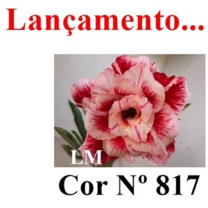 ENXERTO 8315 – 20cm (cor LM 817)