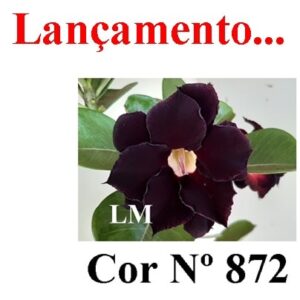 ENXERTO 8125 – 20cm (cor LM 872)