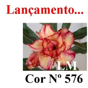 ENXERTO 8258 – 20cm (cor LM 576)