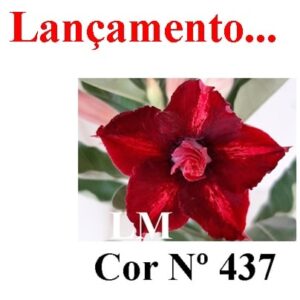 ENXERTO 8486 – 22cm (cor LM 437)