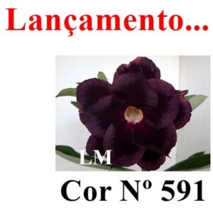 ENXERTO 8490 – 22cm (cor LM 591)