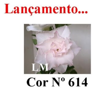 ENXERTO 8440 – 20cm (cor LM 614)