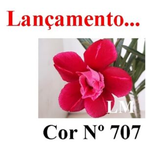 ENXERTO 8488 – 20cm (cor LM 707)