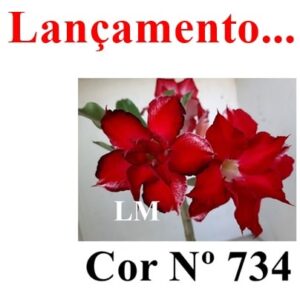 ENXERTO 8343 – 20cm (cor LM 734)