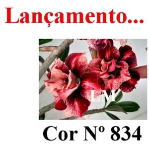 ENXERTO 8499 – 20cm (cor LM 834)