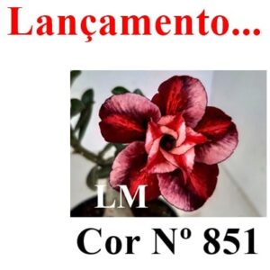 ENXERTO 8469 – 20cm (cor LM 851)
