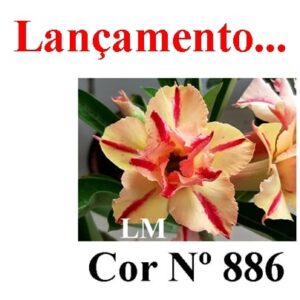 ENXERTO 8493 – 22cm (cor LM 886)