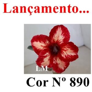 ENXERTO 8378 – 20cm (cor LM 890)