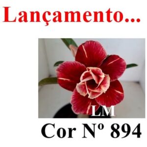 ENXERTO 8341 – 20cm (cor LM 894)