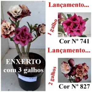 ENXERTO 8374 – 30cm (cor LM 741 e LM 827)