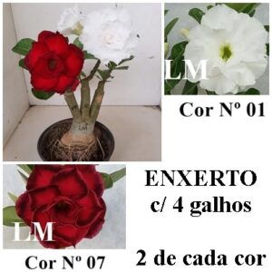 ENXERTO 8404 – 22cm (cor LM 01 e LM 07)