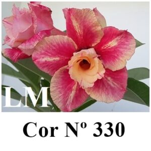 ENXERTO 8598 – 20cm (cor LM 330)