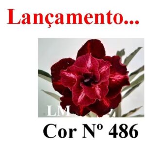 ENXERTO 8679 – 22cm (cor LM 486)