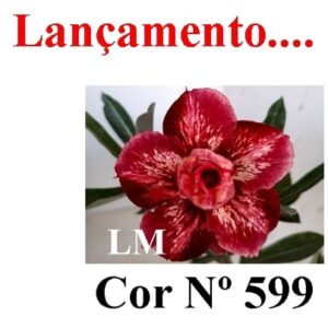ENXERTO 8613 – 22cm (cor LM 599)