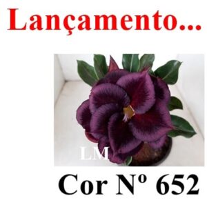 ENXERTO 8596 – 20cm (cor LM 652)