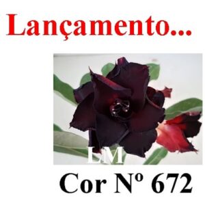ENXERTO 8663 – 22cm (cor LM 672)