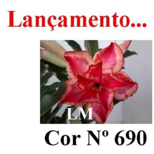 ENXERTO 8653 – 22cm (cor LM 690)